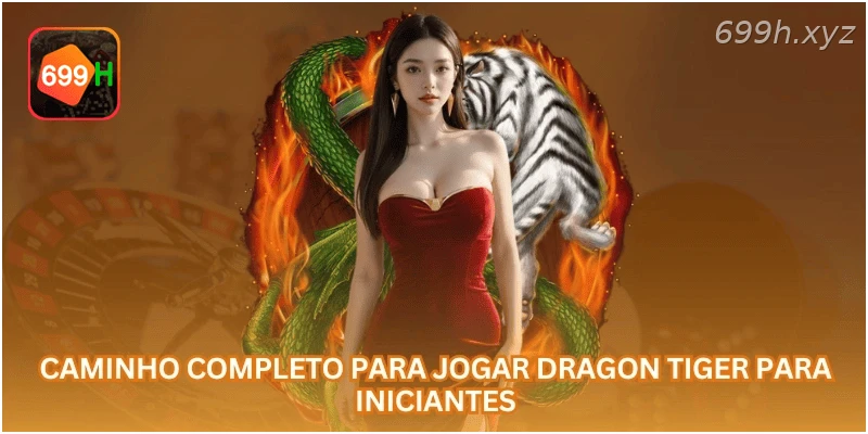 Caminho completo para jogar Dragon Tiger para iniciantes.